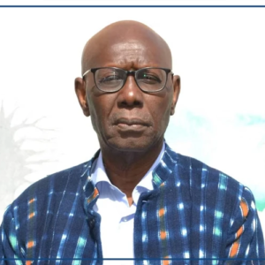 Boubacar Boris Diop, un engagement à contre-courant des consensus abstraits