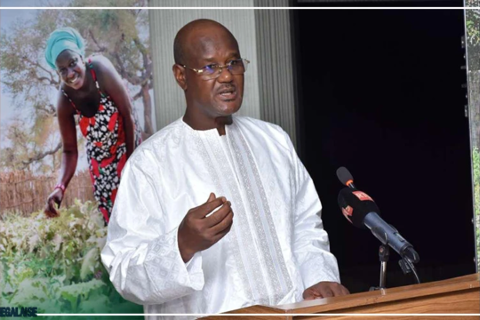 Grâce à Sama Mbey Agro, environ 76 000 agriculteurs ont presque triplé leur rendement cette année, selon Cheikhou Oumar Ba