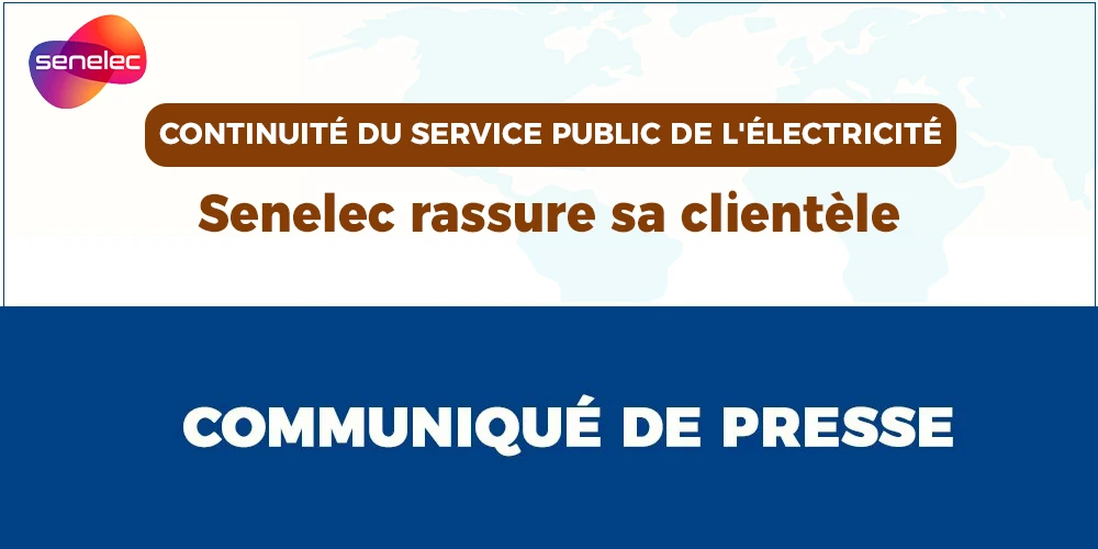 Six tonnes de cuisses de poulet de contrebande saisies par la Gendarmerie nationale 