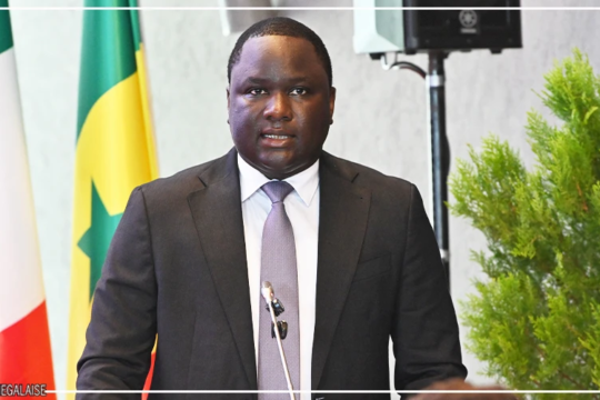 Infrastructures portuaires : les opportunités du Sénégal présentées à des investisseurs italiens