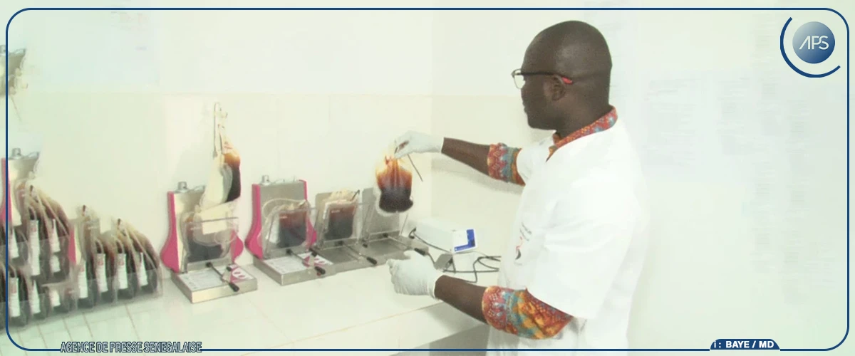 Kaolack : près de 8 000 poches de sang collectées par le Centre régional de transfusion sanguine en dix mois