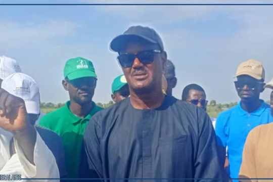 Matam : Cheikhou Oumar Ba annonce des mesures pour accompagner les producteurs confrontés au déficit pluviométrique
