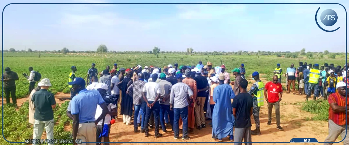 Matam : Cheikhou Oumar Ba annonce des mesures pour accompagner les producteurs confrontés au déficit pluviométrique