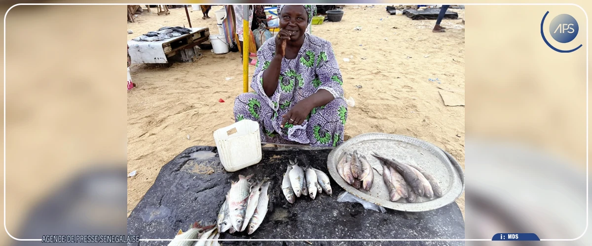 Mbour : la rareté du poisson contrarie pêcheurs, mareyeurs et consommateurs