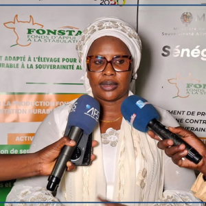 Le FONSTAB veut faciliter l’accès au financement aux éleveurs de Ndiaganiao