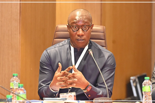 Industrialisation verte : le Sénégal appelé à transformer le contenu local en capacités productives