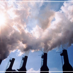 Réduction des émissions de gaz à effet de serre : le Sénégal s'apprête à intégrer les dimensions genre et nutrition