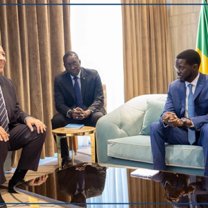 La reprise d'une liaison directe Le Caire-Dakar au menu d'échanges entre le président Faye et le PDG d'Air Cairo