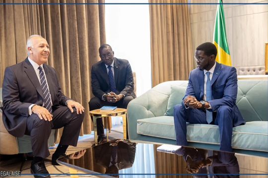 La reprise d'une liaison directe Le Caire-Dakar au menu d'échanges entre le président Faye et le PDG d'Air Cairo