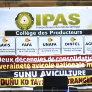 L'nterprofession avicole réclame un ''moratoire conservatoire'' sur deux projets d’investisseurs étrangers