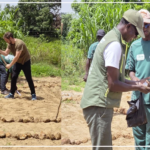 A Keur Demba Ngoye, des femmes apprennent l’agroécologie, grâce à un projet de 281 millions FCFA