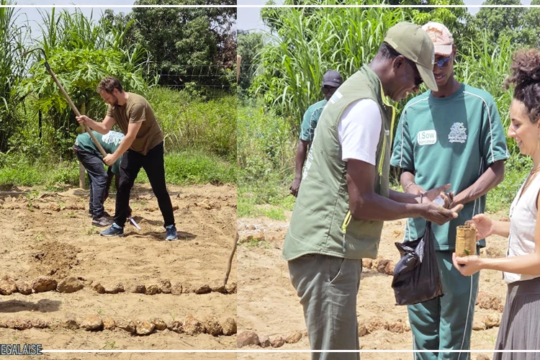 A Keur Demba Ngoye, des femmes apprennent l’agroécologie, grâce à un projet de 281 millions FCFA