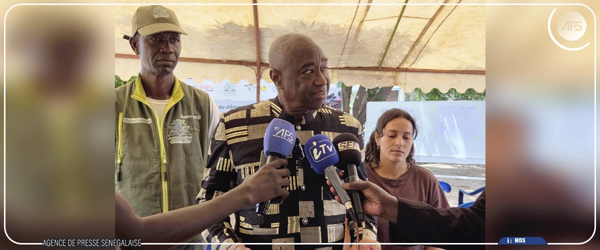 A Keur Demba Ngoye, des femmes apprennent l’agroécologie, grâce à un projet de 281 millions FCFA