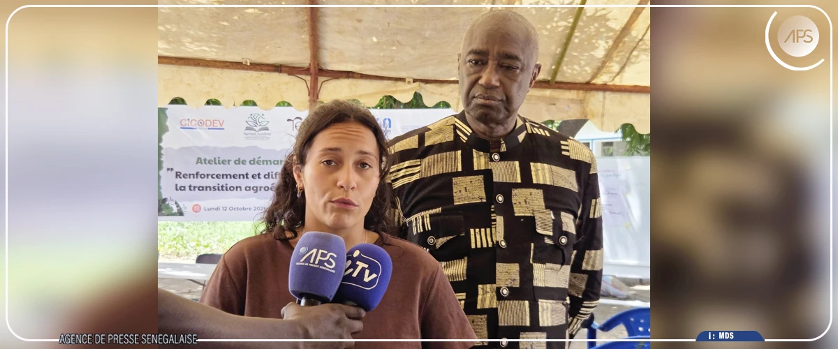 A Keur Demba Ngoye, des femmes apprennent l’agroécologie, grâce à un projet de 281 millions FCFA
