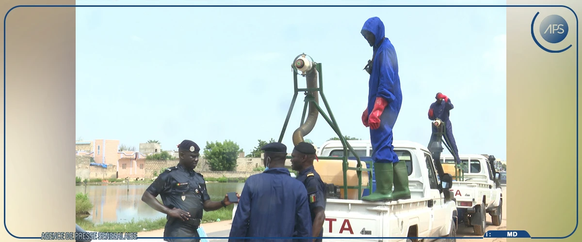 Touba: saupoudrage des larves de moustiques pour lutter contre le paludisme