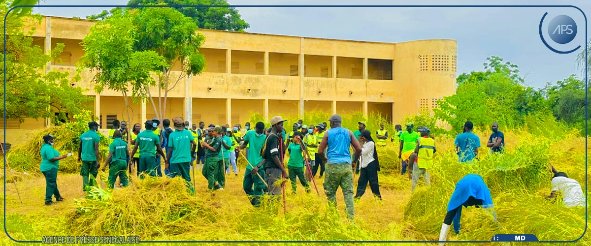 A Bakel, le CCJ initie une opération de désherbage du lycée Waoundé Ndiaye 