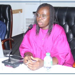Les comités départementaux de protection de l'enfant de Dakar appelés à une meilleure collaboration pour plus d'efficacité
