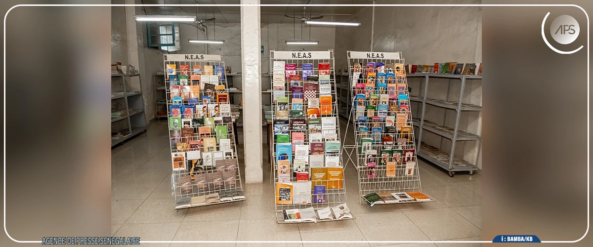 Les NEAS, un demi-siècle d'édition africaine face aux défis du secteur du livre