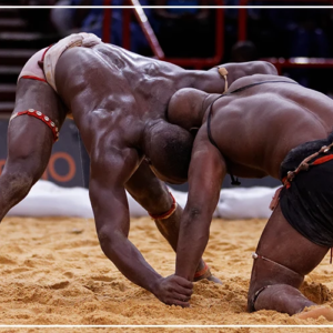 La lutte sénégalaise et les JO, une histoire d’adaptation