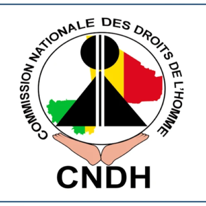 Conférence publique de la Commission nationale des droits de l'homme du Mali à Dakar, jeudi