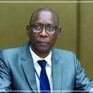 Cheikh Niang appelle à renforcer la coopération régionale en matière de droits humains