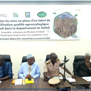 Vers un label de certification qualité "mil agroécologique de Fatick"