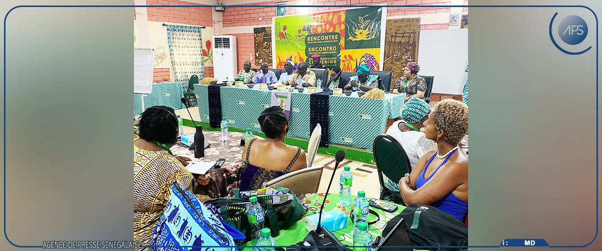 Ziguinchor : des acteurs issus de vingt-trois pays africains partagent leurs expériences en agroécologie à Niaguis