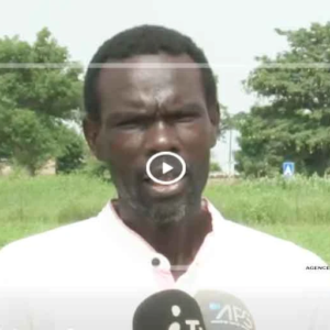 Agriculture : plaidoyer des producteurs de panal wolof pour une deuxieme phase du projet VIC
