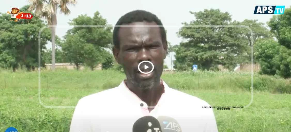 Agriculture : plaidoyer des producteurs de panal wolof pour une deuxieme phase du projet VIC