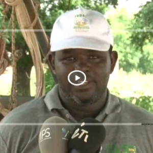 Agriculture :plaidoyer des producteurs de Panal Wolof pour une deuxième phase du projet VIC