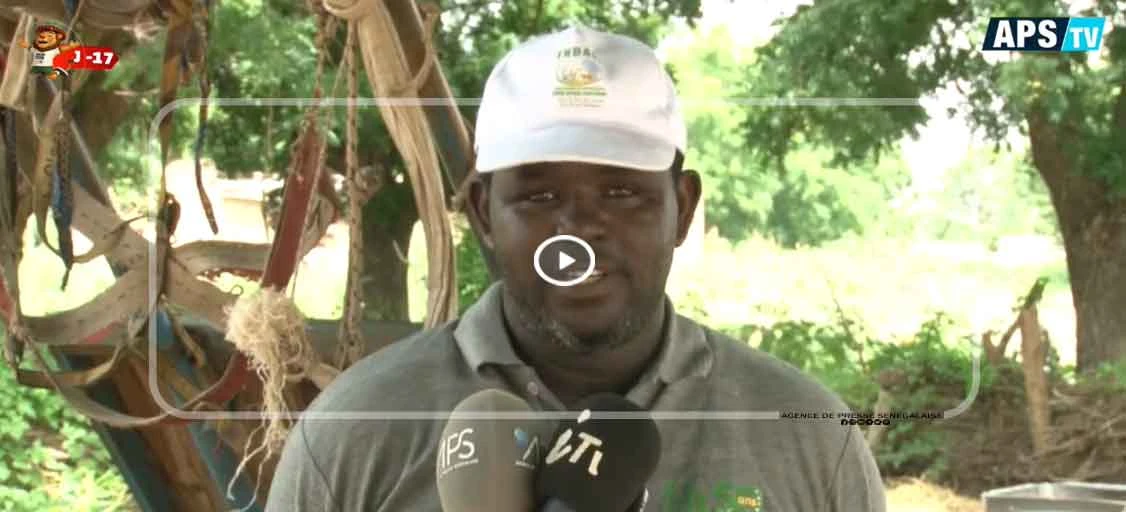 Agriculture :plaidoyer des producteurs de Panal Wolof pour une deuxième phase du projet VIC