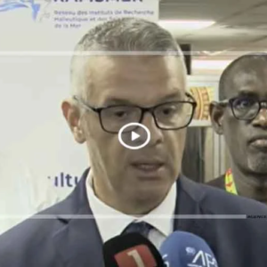 Aquaculture : l'Afrique veut miser sur la croissance bleue