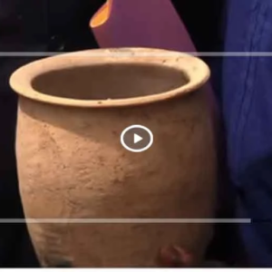 Mbour : 21 000 pots à poulpe immergés pour relancer la ressource