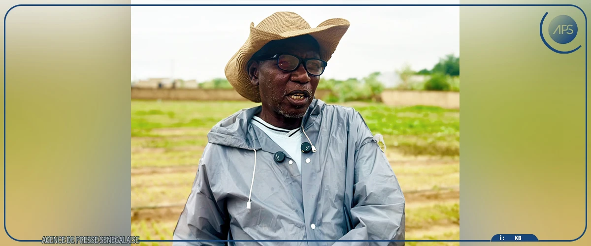 De l'or aux oignons, Saïdou Dème, un parcours atypique d'un producteur agricole de Ndouloumadji Dembé