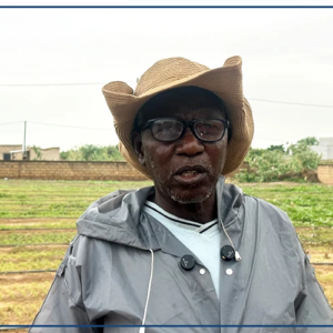 De l'or aux oignons, Saïdou Dème, un parcours atypique d'un producteur agricole de Ndouloumadji Dembé