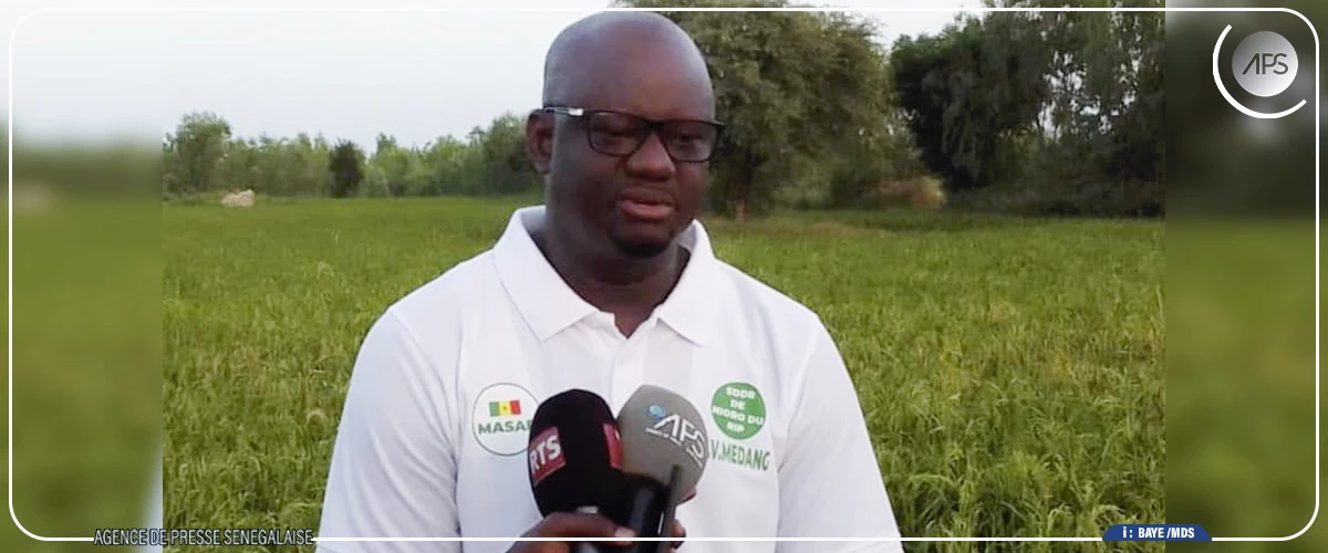 Nioro du Rip peut s'attendre à de ''récoltes satisfaisantes'' suite à une bonne répartition des pluies (SDDR)